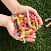 image:imageTrolli Sour Brite Crawlers Candy Gummy Worms Sour Candy 5 Pound Bulk BagTrolliSour